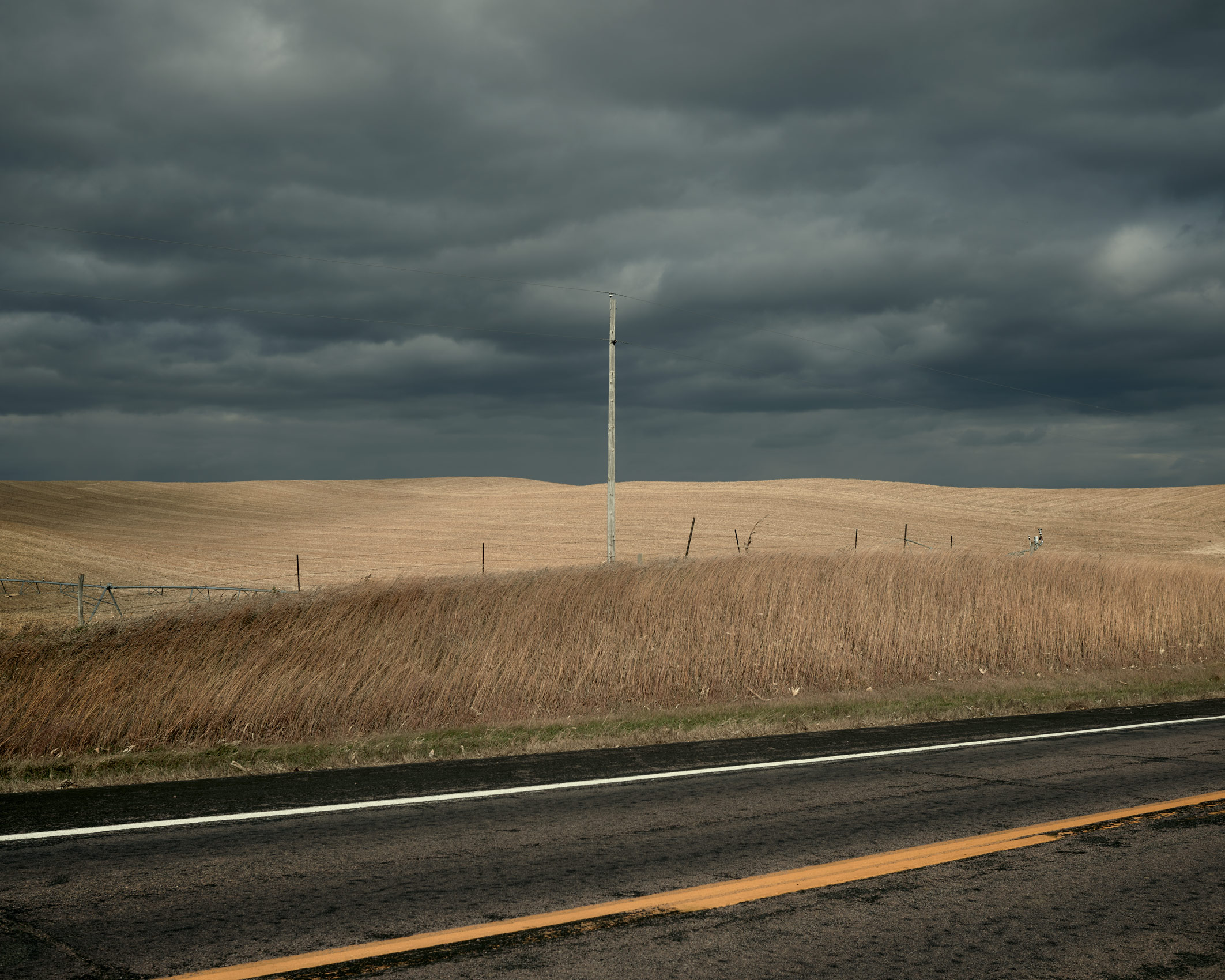 DSC_2384WEB